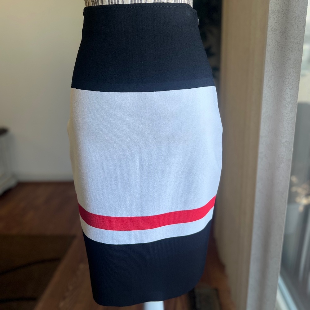 ST. JOHN Skirt